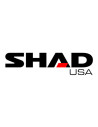 Shad